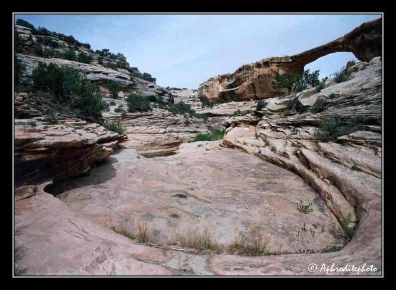 Natural Bridges NM